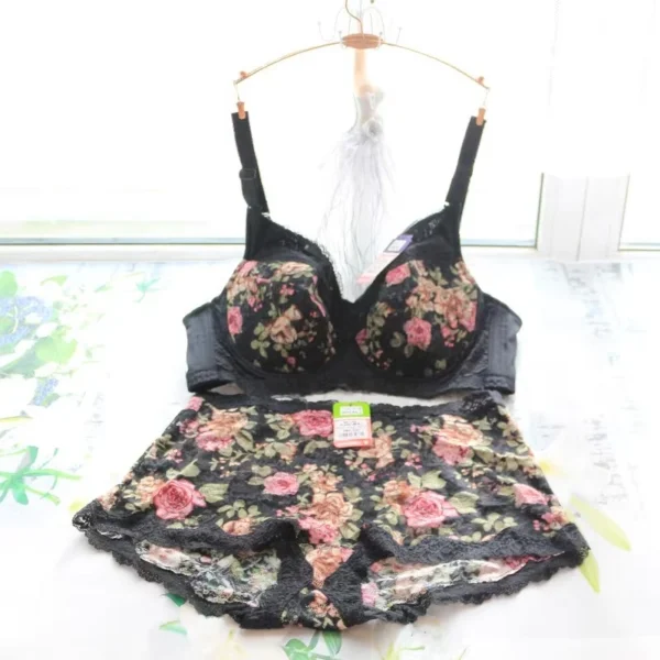 Women's Bra Set Sexy Lace Printed Embroidery Plus Size Full Cup Female Lingerie Suit 34 36 - 48 B C D E F - Image 3