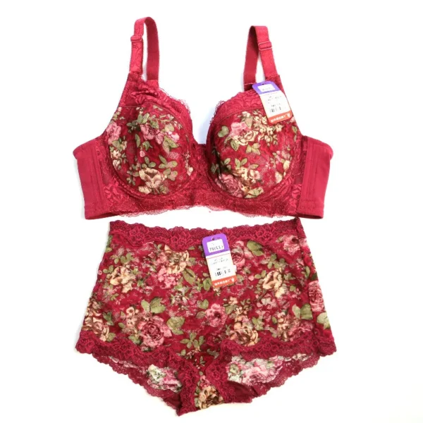 Women's Bra Set Sexy Lace Printed Embroidery Plus Size Full Cup Female Lingerie Suit 34 36 - 48 B C D E F - Image 4