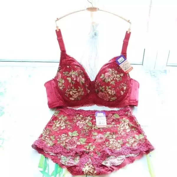 Women's Bra Set Sexy Lace Printed Embroidery Plus Size Full Cup Female Lingerie Suit 34 36 - 48 B C D E F - Image 2